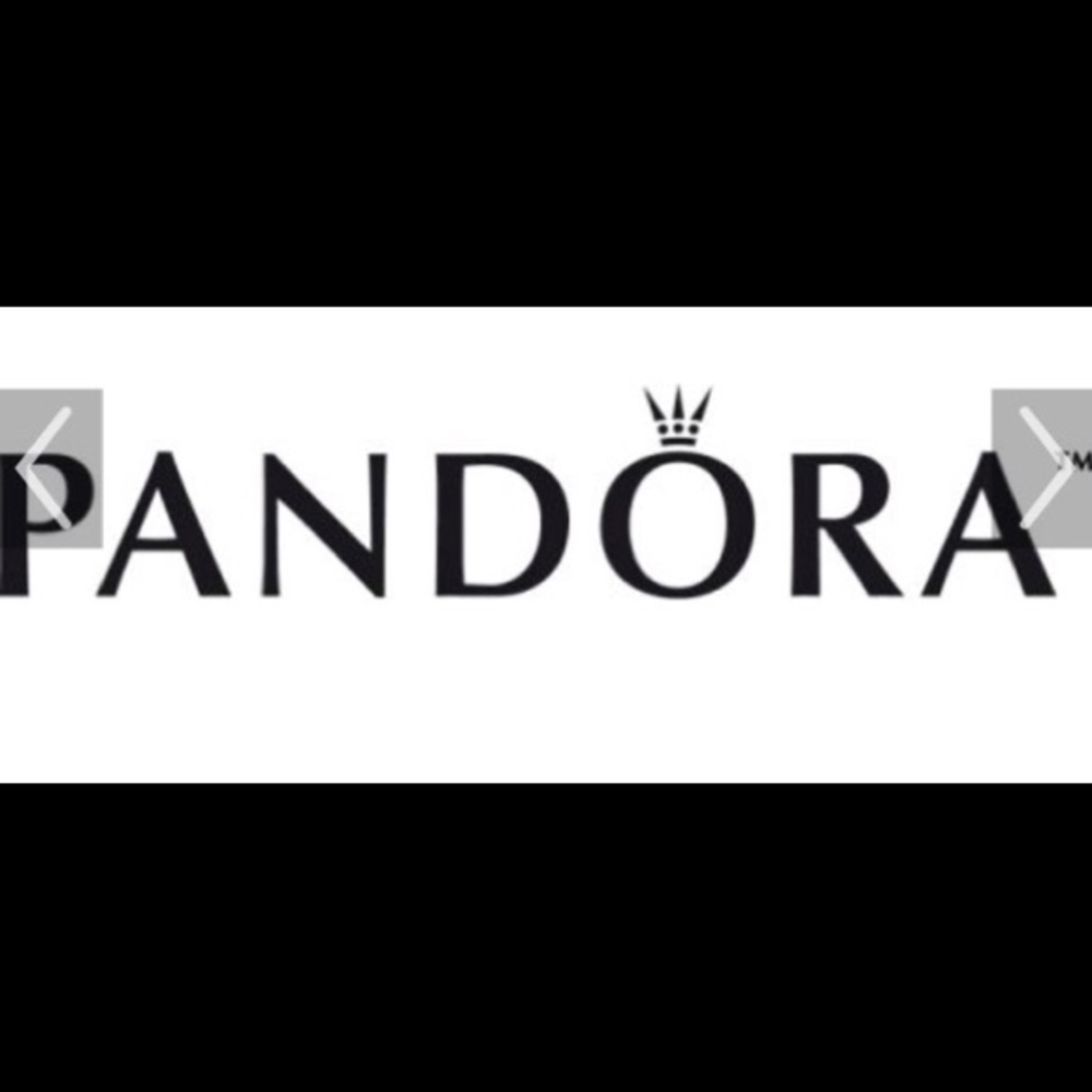 ISO Pandora Marco Island, FL Travel Charm!!